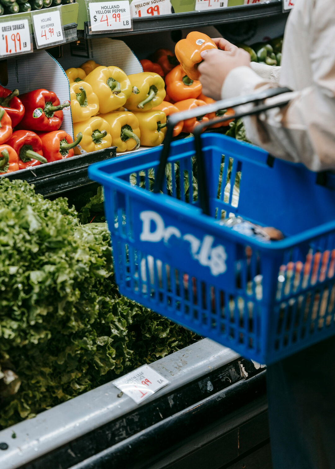 Imagen de la Fundació Banc dels Aliments