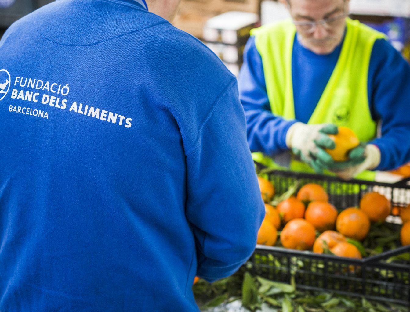 Imatge de la Fundació Banc dels Aliments