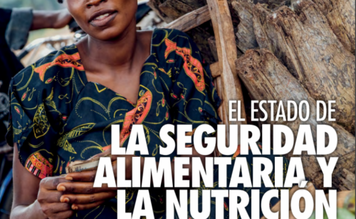 Informe FAO sobre el futur de l’alimentació en un context d’incertesa econòmica