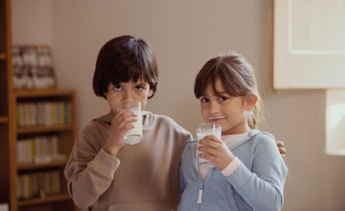 L’Obra Social ”la Caixa” i CaixaBank aconsegueixen 773.231 litres de llet per als bancs d’aliments