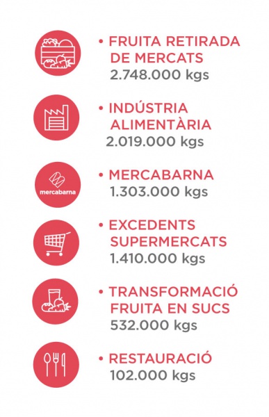 Aliments recuperats gràcies a les donacions rebudes durant l’any 2019