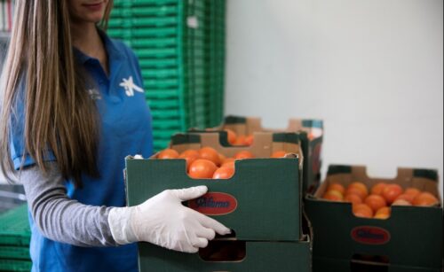 La Fundació ”la Caixa”, amb el suport operatiu de CaixaBank, recapta més de 700.000 euros per als Bancs d’Aliments de Catalunya