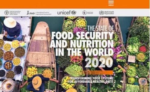 Informe SOFI 2020 sobre l’estat de l’alimentació i la nutrició al món