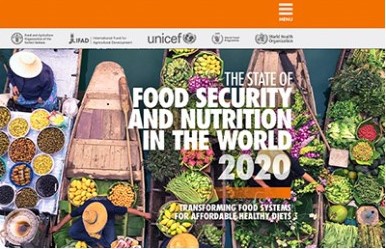 Informe SOFI 2020 sobre l’estat de l’alimentació i la nutrició al món