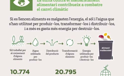 Dia de la Terra, el Banc dels Aliments també cuida del planeta a través de l’aprofitament alimentari