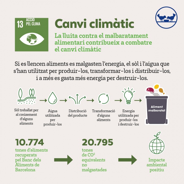 Dia de la Terra, el Banc dels Aliments també cuida del planeta a través de l’aprofitament alimentari