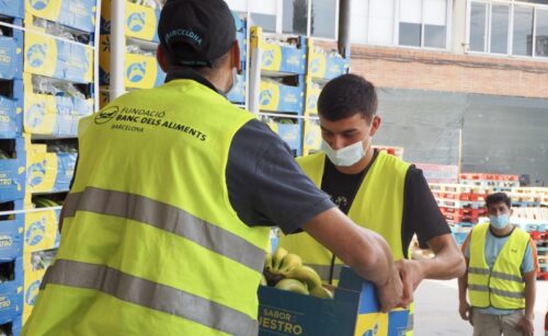 Els quilòmetres que va recórrer la Selecció en l’Eurocopa, arriben des d’avui als Bancs dels Aliments en forma de 80.000 kg de plàtans de Canàries