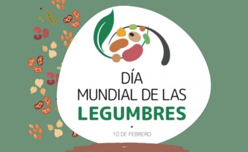 Legumechef organitza al Banc dels Aliments una marató d’activitats culinàries per a celebrar el Dia Mundial dels Llegums