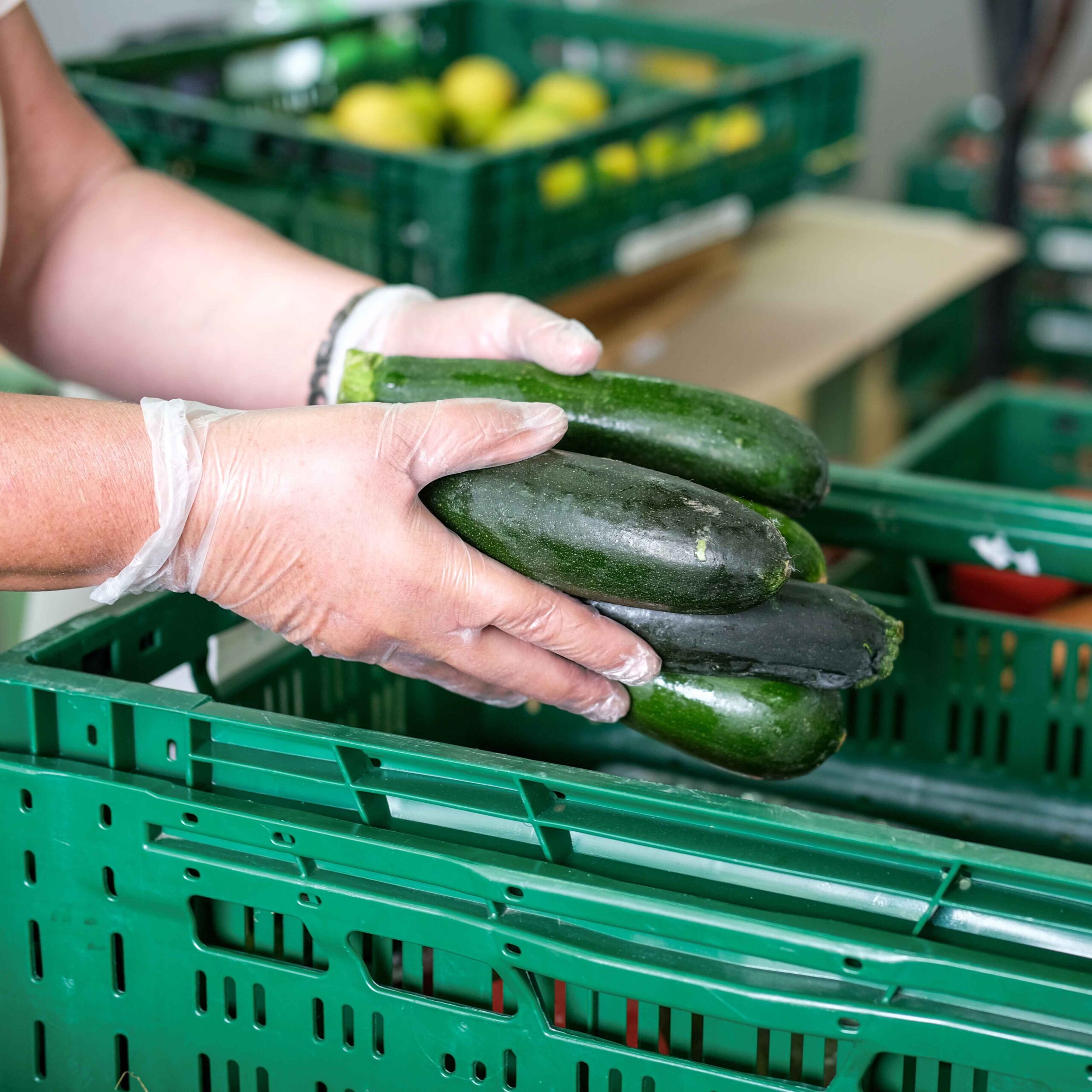 Aprovechamiento alimentario