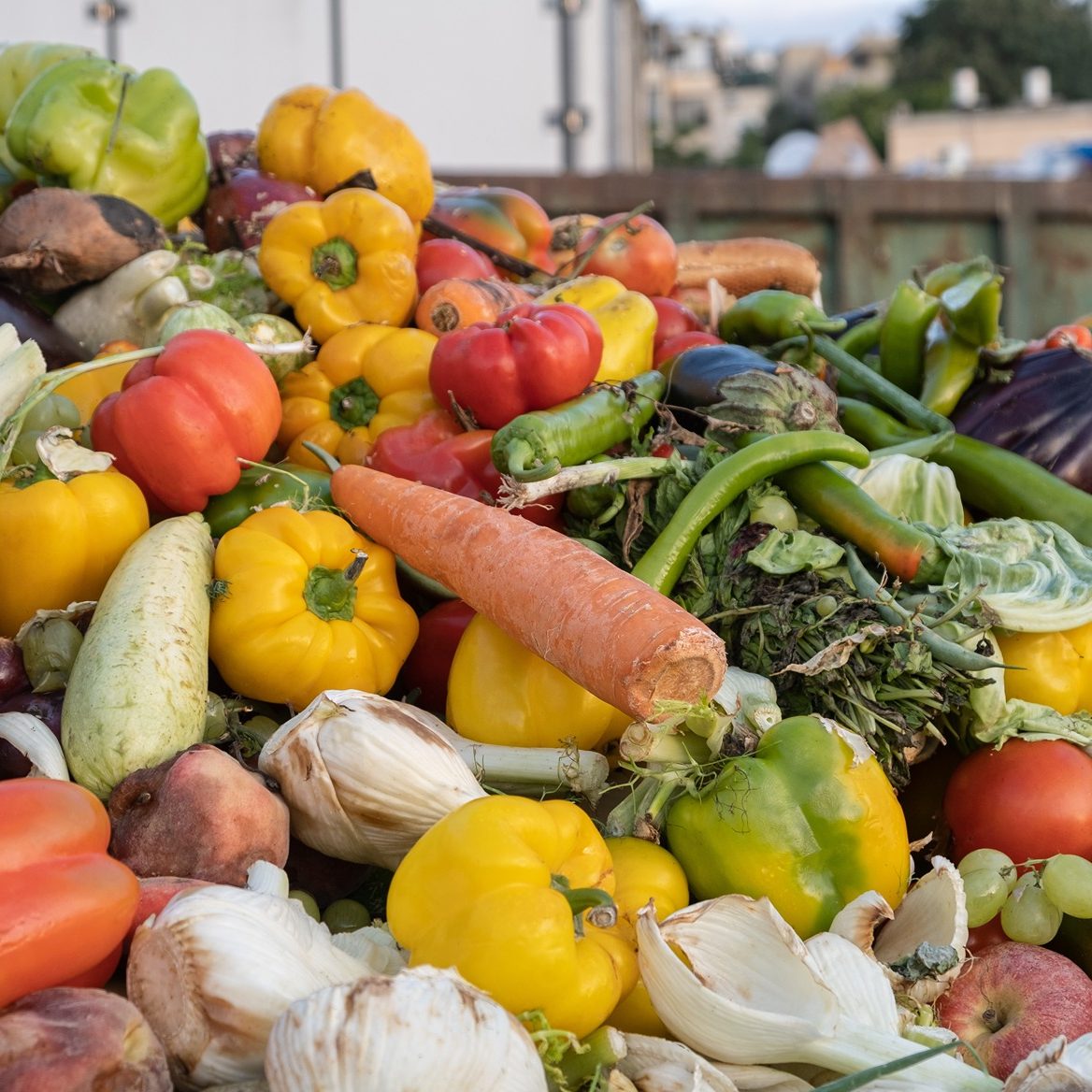 Recuperamos alimentos y los hacemos llegar a quienes más los necesitan